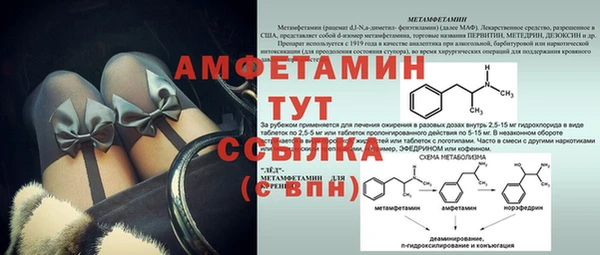 прущие грибы Балабаново