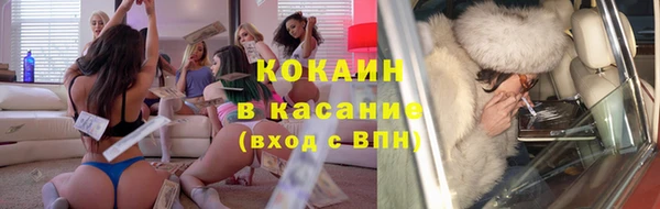 прущие грибы Балабаново