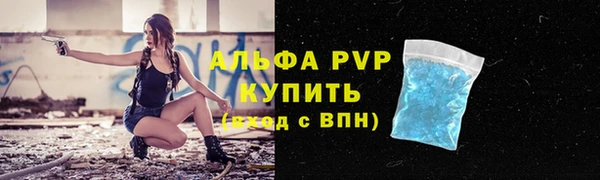 сатива Беломорск