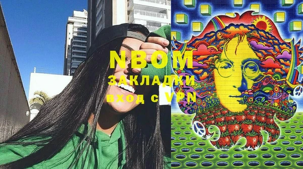 прущие грибы Балабаново
