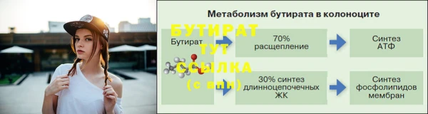 прущие грибы Балабаново