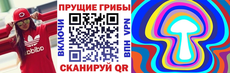 Псилоцибиновые грибы MAGIC MUSHROOMS  mega сайт  Сланцы  продажа наркотиков 